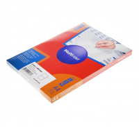 Самоклеящиеся бумажные этикетки MultiLabel 210х297 мм